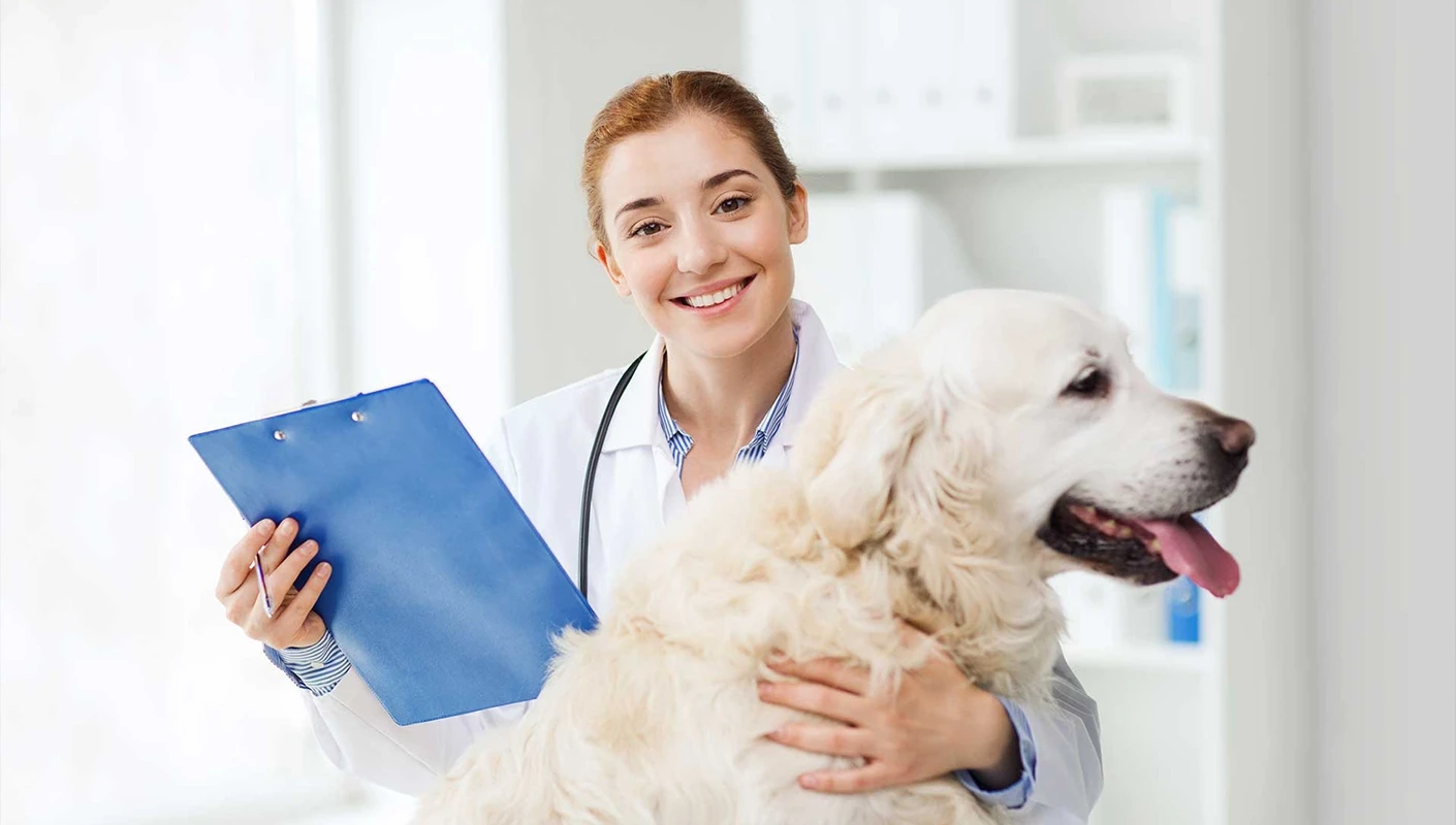 Veteriner Klinikleri İçin KVKK ve Hasta Verilerinin Korunması