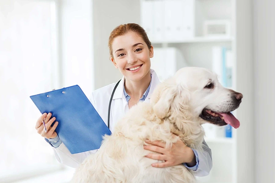 Veteriner Klinikleri İçin KVKK ve Hasta Verilerinin Korunması