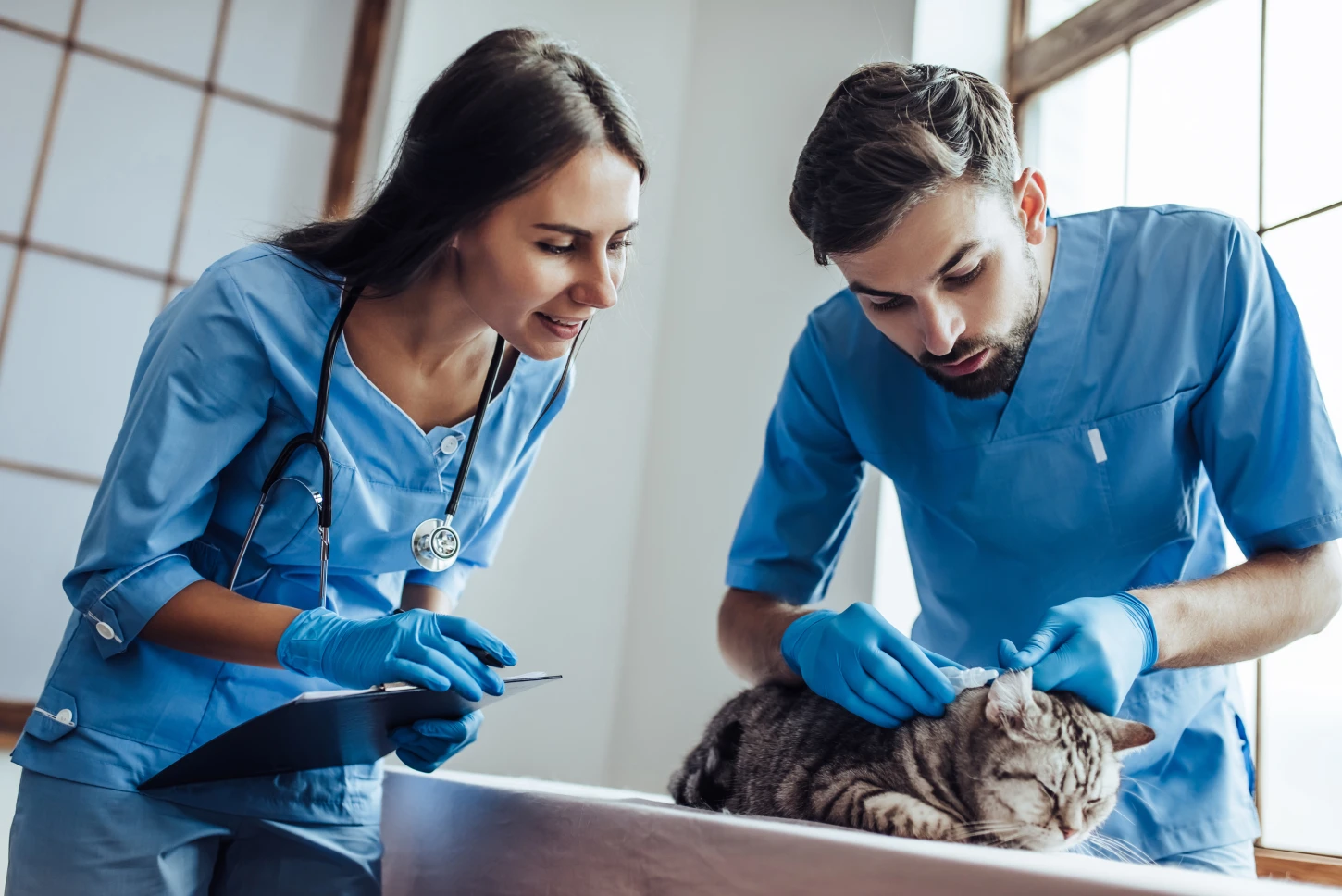 Veteriner Klinikleri ve Reklam Yasağı: Dijital Pazarlama Nerede Sona Erer?